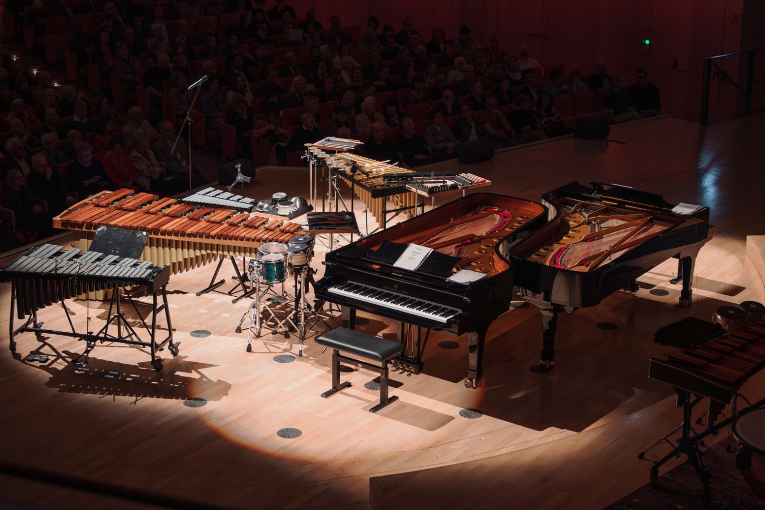 Konzertfotografie, Musikfotografie, Konzertfotos, Fotografie & Post-Produktion, Dresden, Dresden Neustadt, Fotograf, Fotografin, Nora Scholz, professionelle Fotos, Sachsen