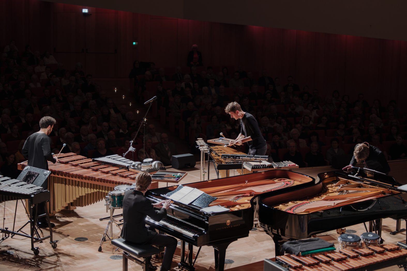 Konzertfotografie, Musikfotografie, Konzertfotos, Fotografie & Post-Produktion, Dresden, Dresden Neustadt, Fotograf, Fotografin, Nora Scholz, professionelle Fotos, Sachsen