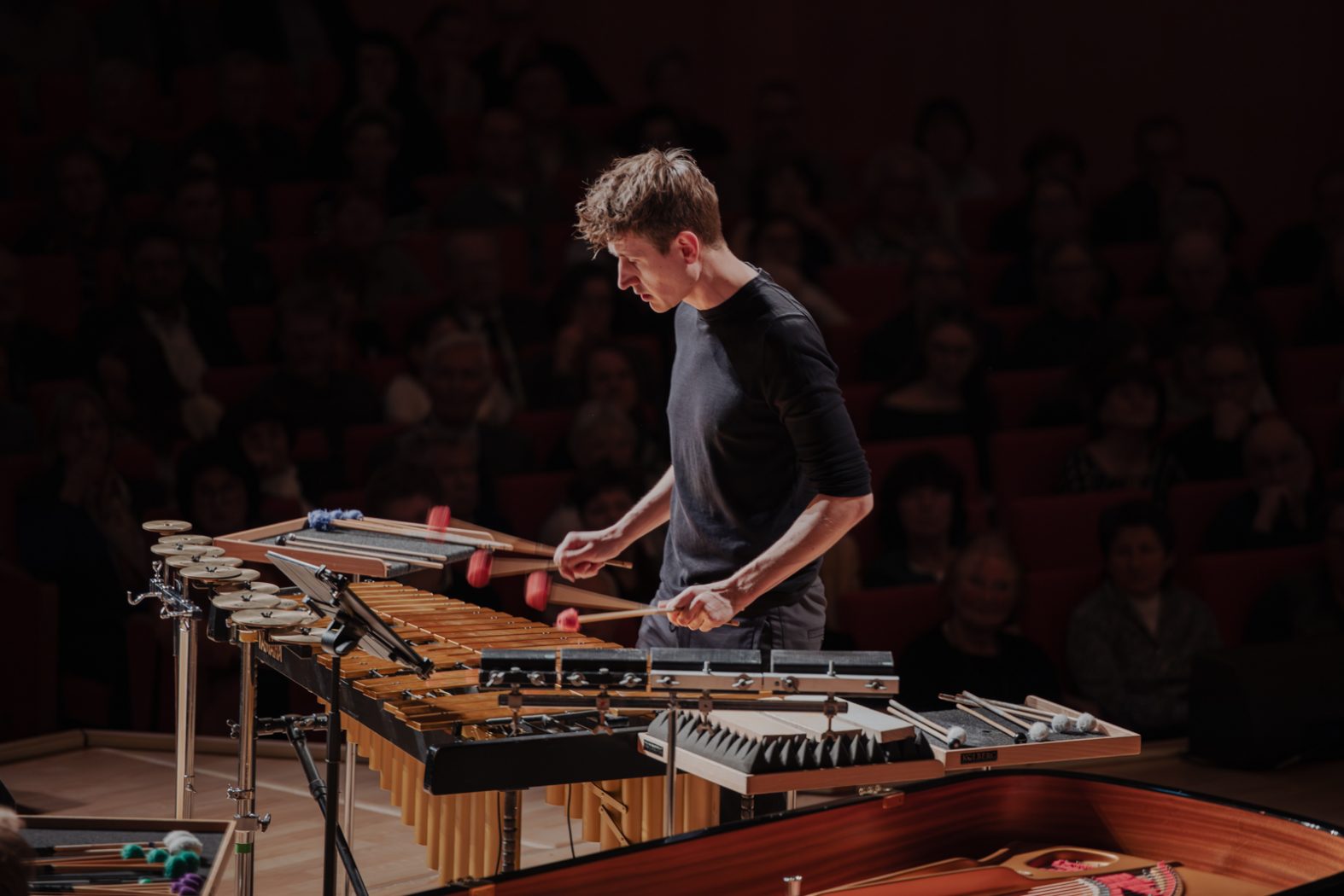 Konzertfotografie, Musikfotografie, Konzertfotos, Fotografie & Post-Produktion, Dresden, Dresden Neustadt, Fotograf, Fotografin, Nora Scholz, professionelle Fotos, Sachsen