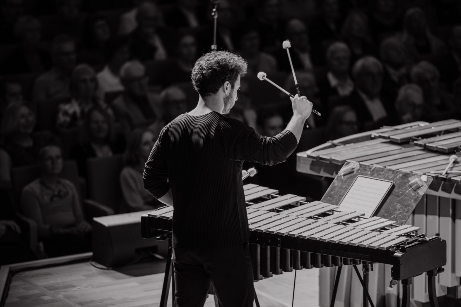 Konzertfotografie, Musikfotografie, Konzertfotos, Fotografie & Post-Produktion, Dresden, Dresden Neustadt, Fotograf, Fotografin, Nora Scholz, professionelle Fotos, Sachsen