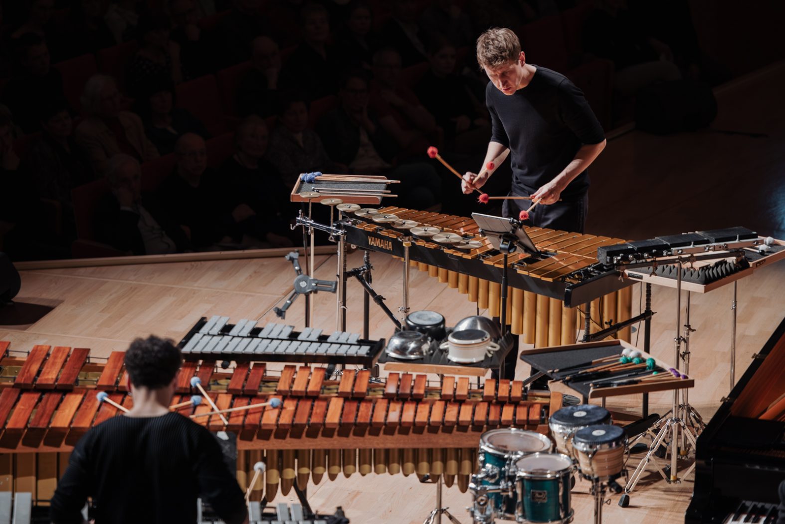 Konzertfotografie, Musikfotografie, Konzertfotos, Fotografie & Post-Produktion, Dresden, Dresden Neustadt, Fotograf, Fotografin, Nora Scholz, professionelle Fotos, Sachsen