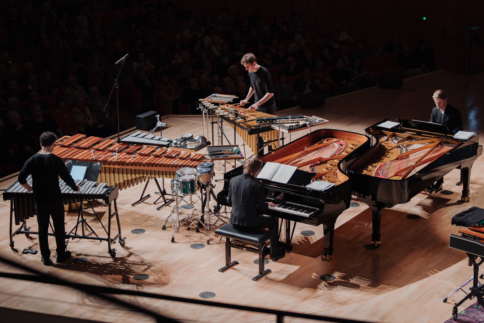 Konzertfotografie, Musikfotografie, Konzertfotos, Fotografie & Post-Produktion, Dresden, Dresden Neustadt, Fotograf, Fotografin, Nora Scholz, professionelle Fotos, Sachsen