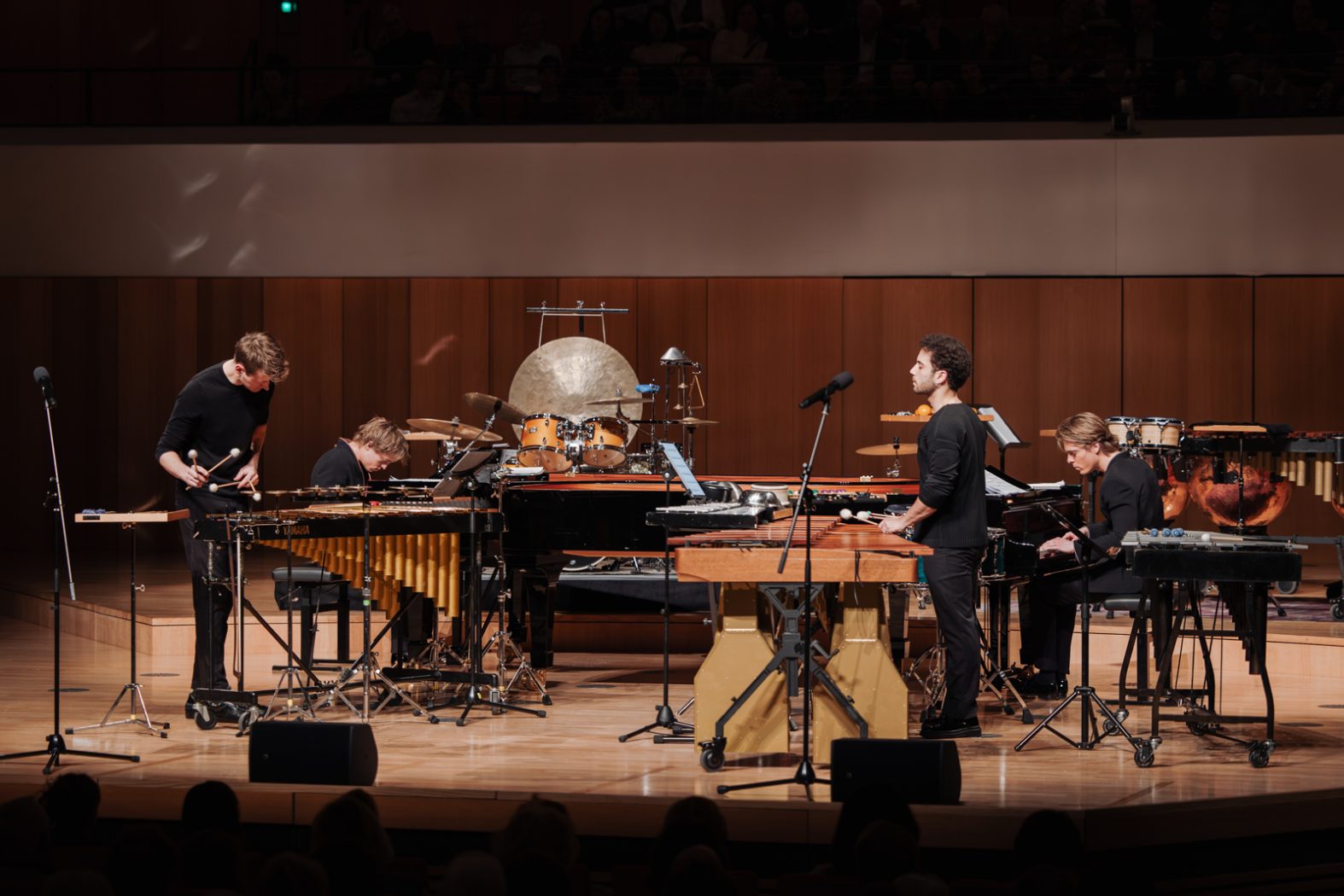 Konzertfotografie, Musikfotografie, Konzertfotos, Fotografie & Post-Produktion, Dresden, Dresden Neustadt, Fotograf, Fotografin, Nora Scholz, professionelle Fotos, Sachsen