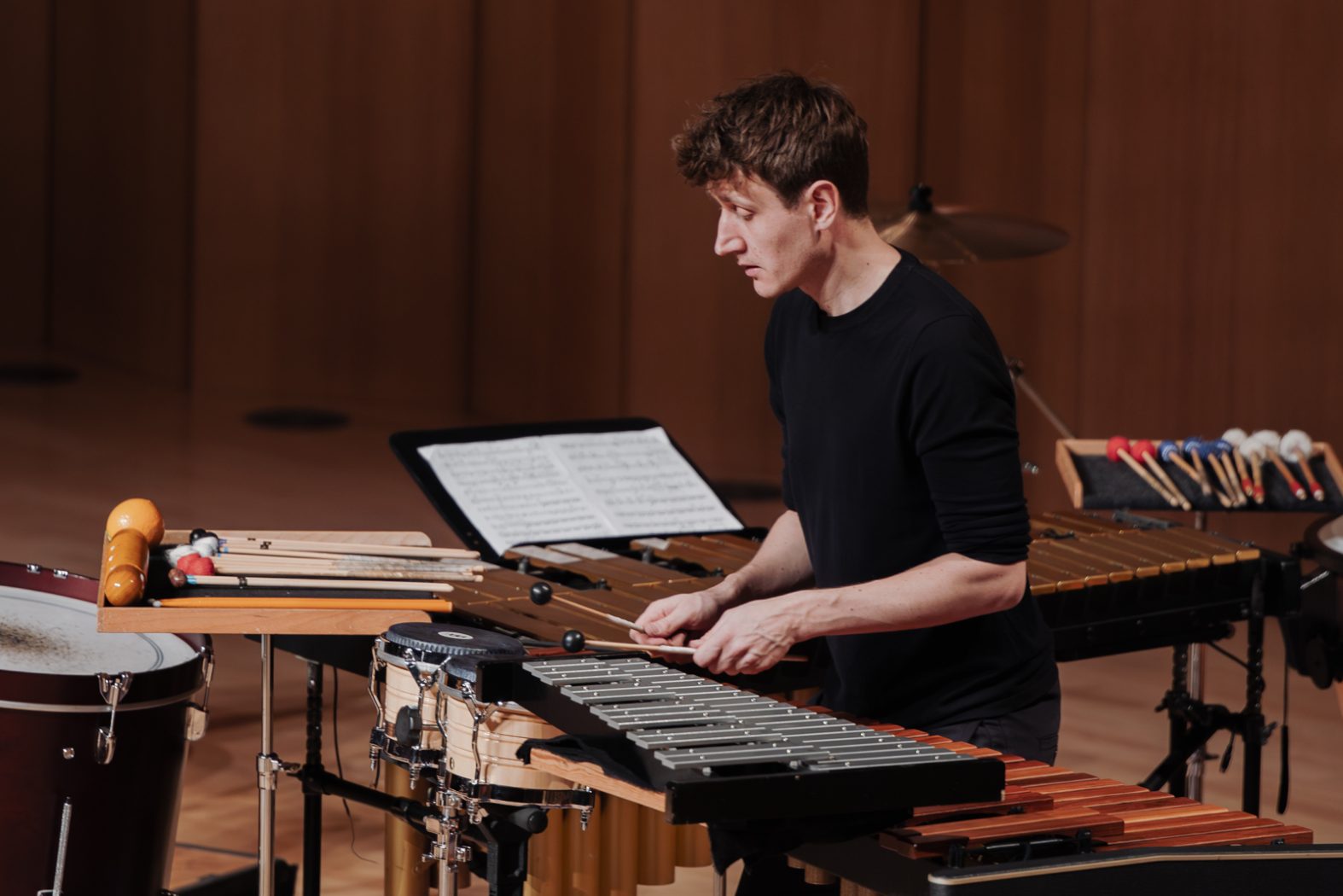 Konzertfotografie, Musikfotografie, Konzertfotos, Fotografie & Post-Produktion, Dresden, Dresden Neustadt, Fotograf, Fotografin, Nora Scholz, professionelle Fotos, Sachsen