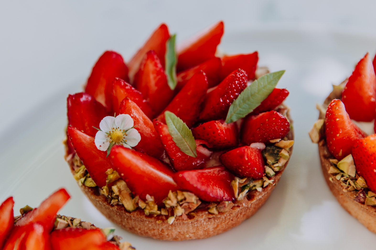 Restaurantfotografie-Ferienwohnung-Foodfotografie-Fotografie-Dresden-Sachsen-professionelle Fotos